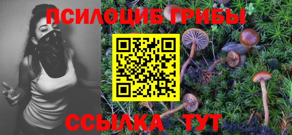 Галлюциногенные грибы MAGIC MUSHROOMS Кудрово