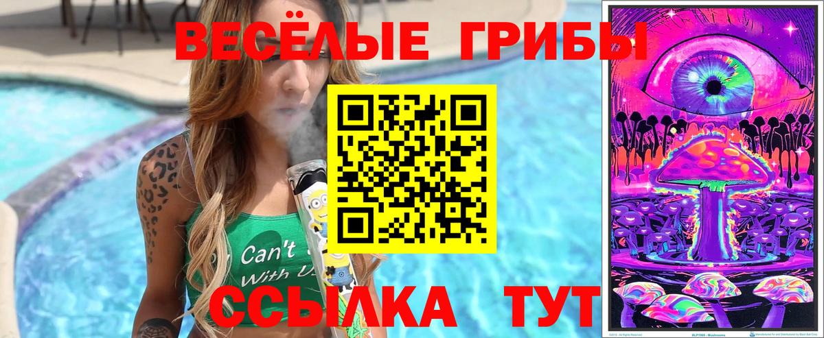 Псилоцибиновые грибы мицелий  где продают   Кудрово  Вход с VPN 
